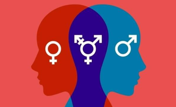 可以选男女的试管医院
