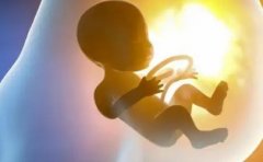 2025年东莞三代试管价格揭秘：一次成功助孕的成本是多少？