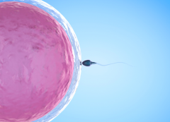 泰国试管收费明细表，价格受到这些因素影响！