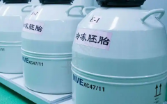 冷冻保存胚胎一年的费用大概需要多少钱？详解冷冻胚胎保存的费用构成与影响因素