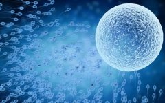 贵阳试管一次费用详解：从检查到移植的全流程费用