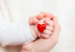 昆明做试管需多少钱？2024昆明试管费用与成功率详解！