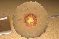 江西做三代试管费用是多少？公立与私立医院收费标准大比拼！