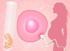 试管有十大缺点，能接受的再说要不要做手术