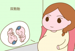试管双胞胎比单胎贵？这种说法其实没有依据