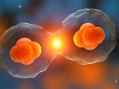 私立机构做三代试管需要哪些费用？提前了解心里才有数