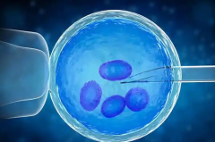 高龄在合肥做三代试管，一次需要多少钱？