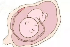 遵义妇幼保健院做试管的全部费用大概需要多少，详细了解一下