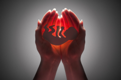 深入了解陕西中医药大学附属医院的试管技术水平与服务质量