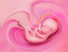 体重超标是否会拖试管成功率的后腿？全面解析肥胖对试管成功率的影响