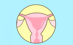 鲜胚移植后第四天，突然出现出血情况，这背后可能隐藏着哪些原因？