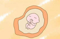 福州地区试管治疗的相关费用报销政策是怎样的？全面解析与指南