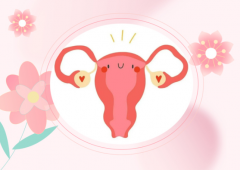 如果鲜胚移植的成功率不够高，有哪些应对方法和策略可以采取？