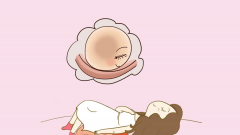 试管整个流程是怎样的，以及在整个过程中有哪些需要注意的重要事项