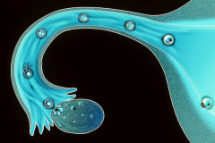 青海地区对于试管治疗有哪些报销政策或者补助措施呢？