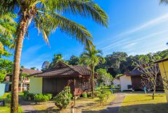 揭秘马来西亚试管骗局，正规试管其实费用不贵