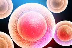 鲜胚移植后着床症状有哪些？能证明是怀孕吗？