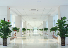 邯郸儿童医院试管多少钱？费用主要有这些