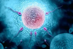 石家庄三代试管有哪些费用？怎么才能少花钱？