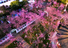 盘点昆明著名的试管医院，五家医院详细介绍如下