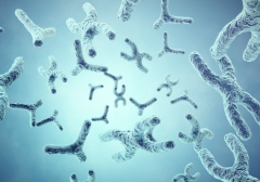 单身能做三代试管吗？做一次总花费要多少钱？