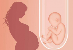 齐齐哈尔做试管的婴儿大约多少钱？2024齐齐哈尔做试管各环节费用解读