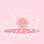 试管自然周期移植的全过程：一步步了解移植步骤及注意事项