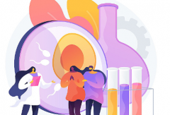 试管移植后，有哪些动作是需要避免做的，以免影响成功率