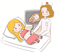 试管治疗过程中的签约协议都包括哪些重要内容和条款呢？详细解读