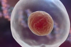 试管失败了能退款吗？部分医疗机构有这样的服务