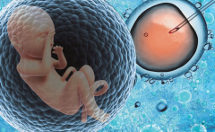 三代试管费用大盘点，想省钱必须做好这几件事！