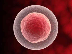 石家庄三代试管价格多少？分享全新费用明细供参考