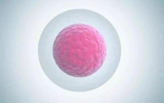 兰州试管费用攻略，一二三代试管费用大公开！