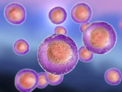 厦门试管费用全规划，一二三代试管有啥差别一文了解