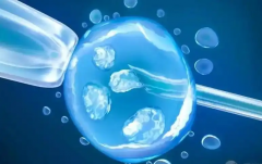 试管移植当天，如果不小心胚胎掉出来了，应该如何应对和处理？全面