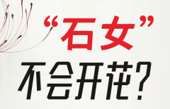 石女并非完全不能做试管，达到这些条件就能做手术！