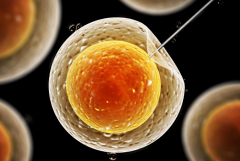 俄罗斯供卵试管费用公布，正规医院费用需要这么多