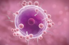 银川试管医院哪家比较可靠？做试管成功率可以保障吗？