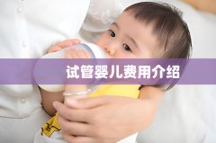 安徽三代试管包生'男'孩价格是多少？附费用详解与成功率分析！