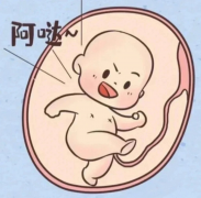 停经状态下能否进行供卵试管婴儿？全面解析停经女性进行试管婴儿的可行性