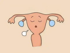 幼稚子宫在天津做试管需要多少钱？分享试管费用明细