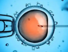 昆明试管需要多少钱？具体费用分享如下！