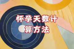 试管婴儿怎么算怀孕天数？看完本文自然就会了！