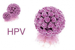 HPV型号大全：哪些型号HPV致癌风险高？警惕这五个型号！