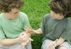 费用亲民！各国试管双胞胎价格大揭秘！