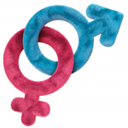 昆明2025年第三代试管费用全解析：生男生女、包成功等收费详细揭秘！