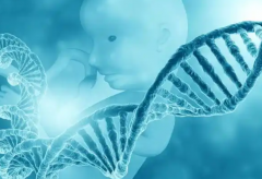 解析商丘三代试管费用，患者分享一次花多少钱！