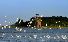 秦皇岛哪家不孕不育医院好？两大试管医院值得推荐！