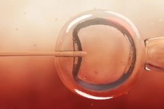 包成功试管医院究竟如何选择？2024年最值得信赖的医院推荐！