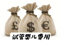 做试管包成功多少钱？一份详细费用清单，告诉你花哪里最值！